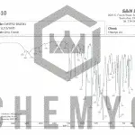 BA2041 GW0742 FTIR